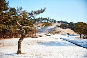 공주 무령왕릉_6