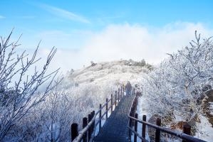 덕유산 설경_17